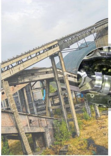 Conveyor and plant environment
